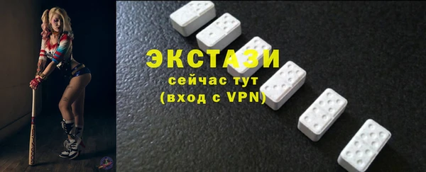 дмт Бородино