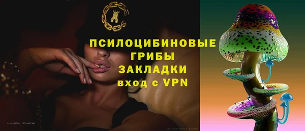 COCAINE Богородицк