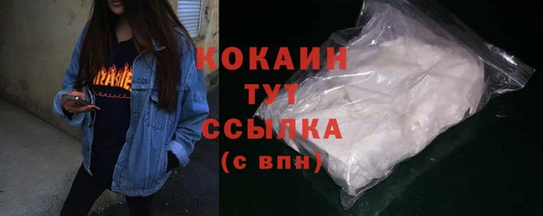 дмт Бородино