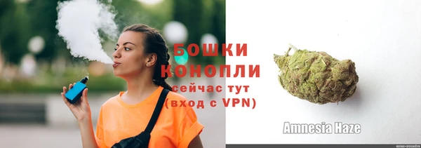 дмт Бородино
