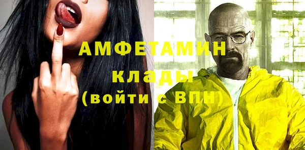 дмт Бородино